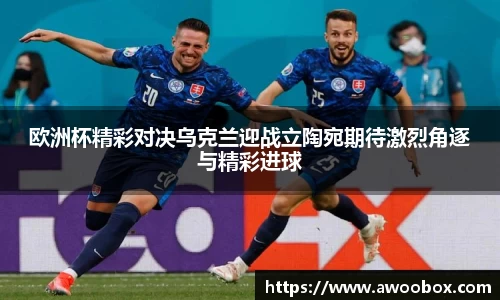 欧洲杯精彩对决乌克兰迎战立陶宛期待激烈角逐与精彩进球